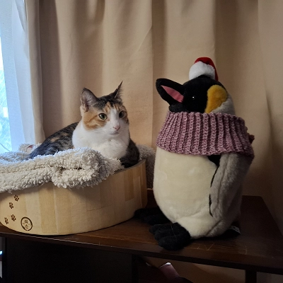 つよしのプロフィール画像